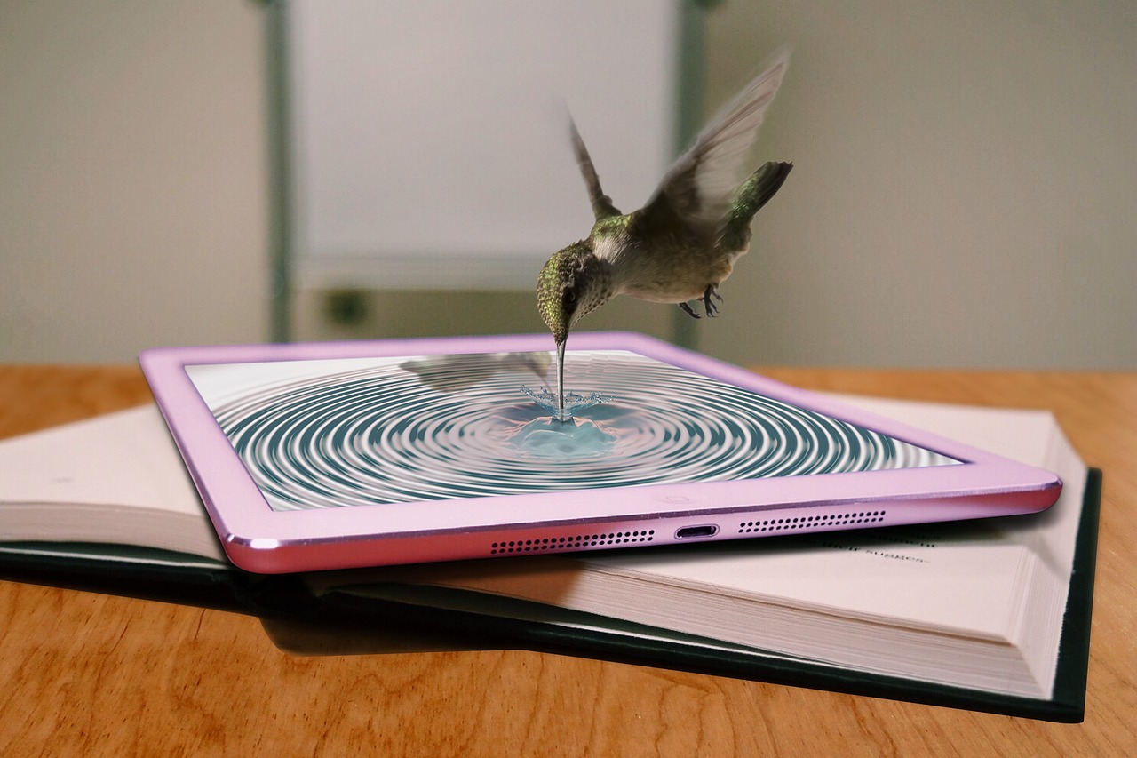 Integrating Environmental Ethics into STEM Curriculum: Diamond exchange 9, Sky99exch, Reddybook
