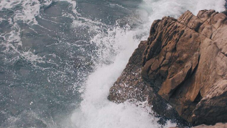 Cricbet99 Kaise Khelte Hai Aur Jeete Kaise?